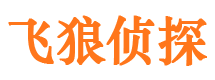 洛宁寻人公司